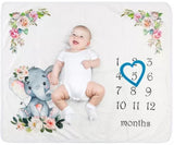 Baby's 1st Year Milestone Blanket